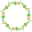 kranz 12 kranz 12