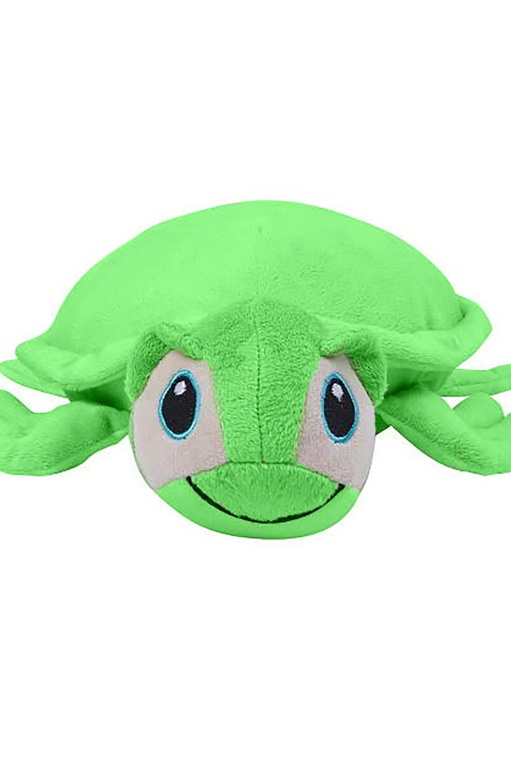 Schildkröte Schildkröte