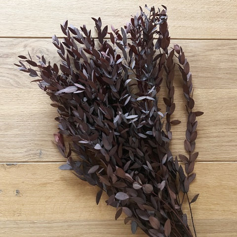 Getrockneter Eukalyptus | 1 Bund | rot