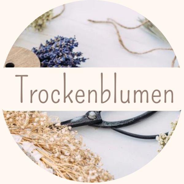 Trockenblumen