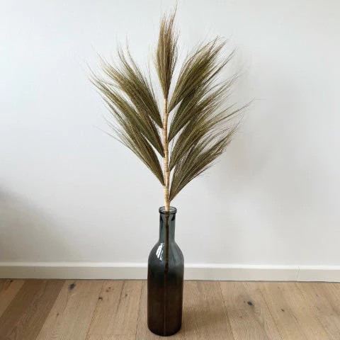 Federkorn Pampasgras | 1 Wedel | ca. 100 cm | natur