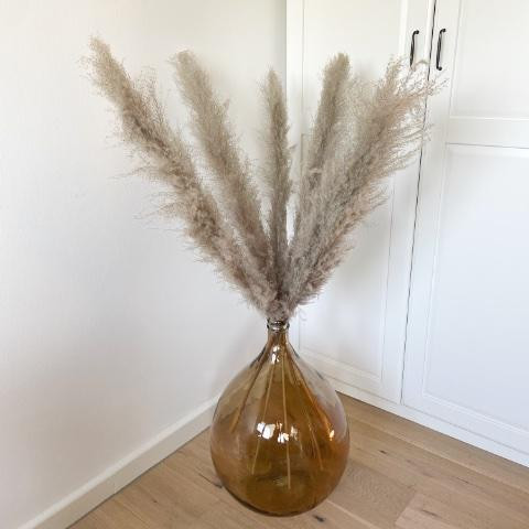 Pampasgras FLUFFY | naturgrau