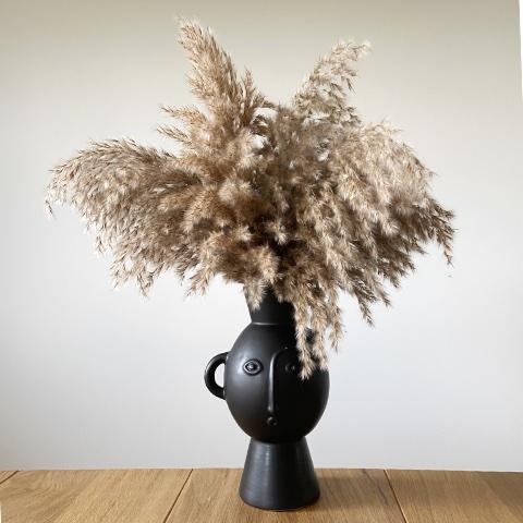 Pampasgras MIDI FLUFFY | 5 Stiele | Setpreis | naturfarben