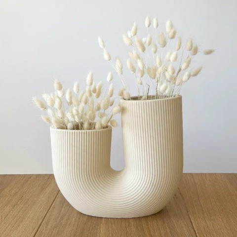 Vase STRAVALLA mit weißem LAGURUS | Dried Date